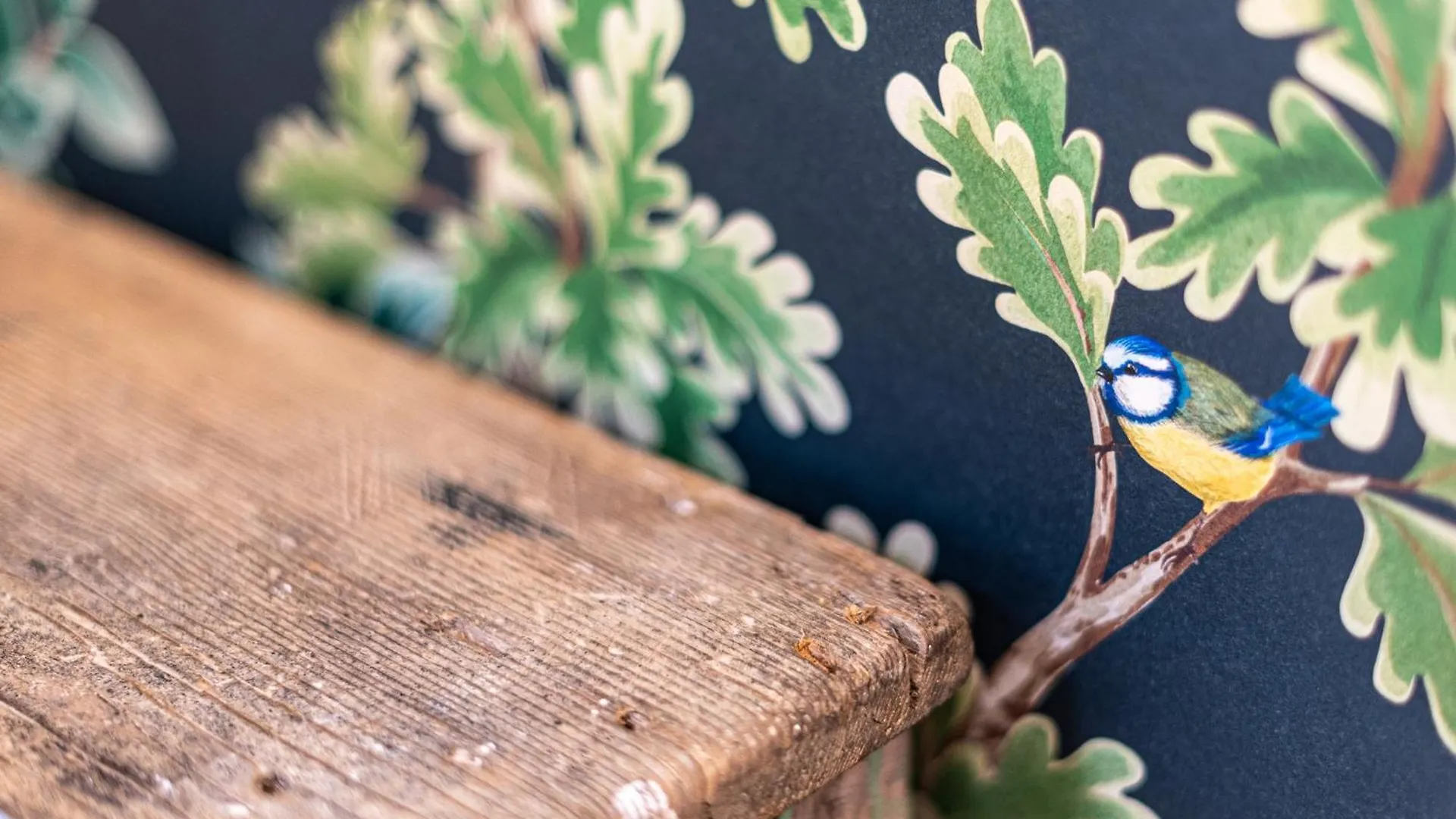 B&B Lu Cuccuviu Lecce